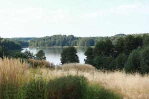 a view of a lake with trees in the background at Ežero Sapnas - Dream of the Lake in Lazdijai