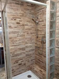a bathroom with a shower with a toilet in it at Dalmát Kuckó apartmanház in Šibuljina