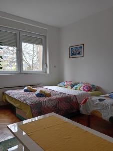 Krevet ili kreveti u jedinici u okviru objekta Apartman Klinički Centar Niš +17 fotografija