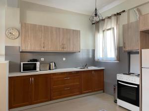 a kitchen with wooden cabinets and a sink and a microwave at Center Twin Apartments - 2 in Chios +8 photos