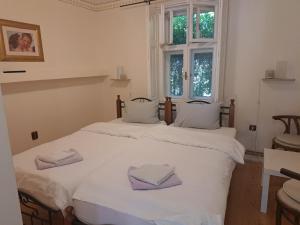Llit o llits en una habitació de Salaš Đorđević