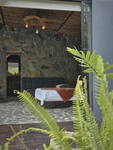 Zahrada ubytování Luxury Glamping Salento