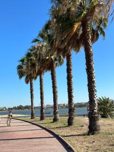 a person riding a bike on a path next to palm trees at Luxury home in Amora