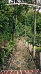 A garden outside Hotel Diego Pacho