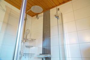 a shower with a glass door in a bathroom at Feriendorf Blauvogel Blauvogel 059 in Hasselfelde +17 photos