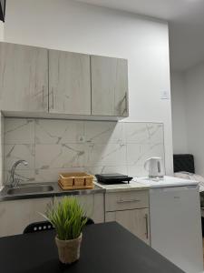 A kitchen or kitchenette at Apartmani Ćosić - Kuršumlijska banja