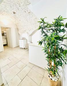 Kuchyň nebo kuchyňský kout v ubytování Paradise Rooms