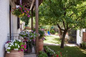 Zahrada ubytování B&B La Torre del Poggio + 7 fotografií