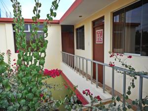 un balcone di una casa con cactus di Hostal Geminis a Ica