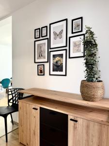 a living room with a table and a potted plant at Apartments Terra Solaris in Medulin