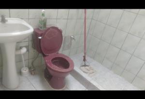 a bathroom with a pink toilet and a sink at Playa sol y arena in Puntarenas +16 photos
