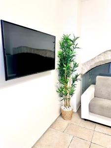 TV a/nebo společenská místnost v ubytování Paradise Rooms