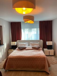 a bedroom with a large bed and a large window at Chalet Solaris in Buşteni