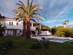 a house with a palm tree and a swimming pool at Villa Tranquilla in Estepona