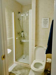 a bathroom with a shower with a toilet and a sink at Villa Tranquilla in Estepona