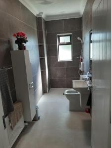 a bathroom with a toilet and a sink and a window at Watervalley Farm Self Catering in Cloongawn