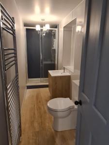 a bathroom with a toilet and a sink and a shower at Driftwood in Gourdon