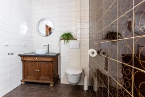 a bathroom with a toilet and a sink and a mirror at Vino Grando 't Klooster in Odiliapeel