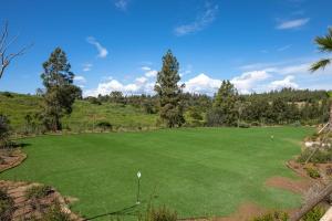 Zaplecze golfowe tego apartamentu lub w pobliżu