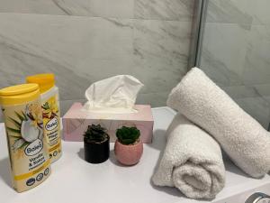 a bathroom counter with a towel a tissue and a plant at Apartmani BOŽIČKOVIĆ in Palić +61 photos
