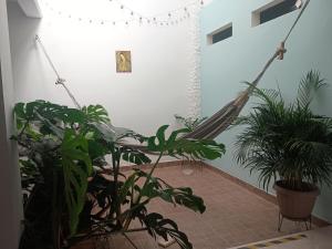 a room with two hammocks and some plants at Hostal Naty luna - sede alterna in Jardin