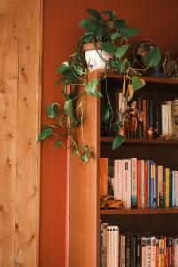 a book shelf with a potted plant on it at Les Pinsons des Rives in La Malbaie