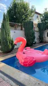 Πισίνα στο ή κοντά στο Cozy Little Holiday House