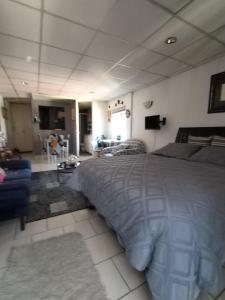 ein Schlafzimmer mit Bett und ein Wohnzimmer in der Unterkunft Suite Reforma Ahuehuete in Mexiko-Stadt