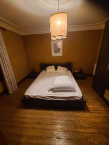 a large bed in a bedroom with a chandelier at Chez nina in Saint-Éloi +6 photos