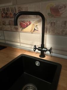 eine Küchenspüle mit einem Wasserhahn in der Küche in der Unterkunft Exclusive Holiday Apartments in Villach