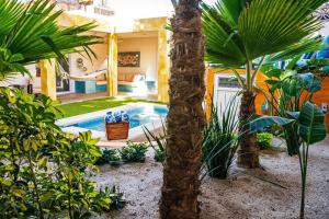 Πισίνα στο ή κοντά στο Casa Oasis