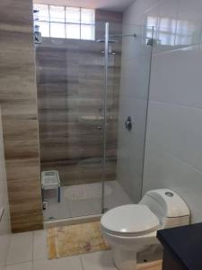 een badkamer met toilet en glazen douche bij Habitaciones en alquiler centro de Tarija in Tarija
