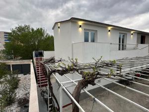 een boom aan de zijkant van een huis bij Apartman Little Dream in Split