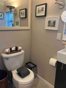 a bathroom with a white toilet and a sink at Quaint Cottage - Kansas City Area in Kansas City +10 photos