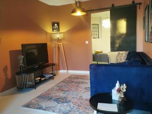 a living room with a blue couch and a tv at Maison Finchette pour 2 - 5 min Saint-Émilion - Terrasse privée - Parking - Arrivée autonome in Sainte-Terre