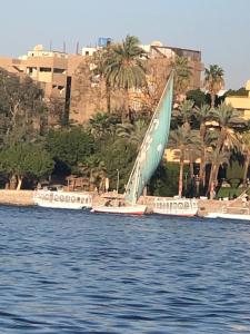 three boats with a sail on the water at luxor in Luxor