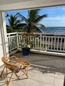 Fotografie z fotogalerie ubytování Ocean View Retreat Mauritius, Beach access, Pool v destinaci Albion