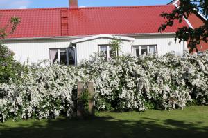 Byggnaden som detta B&B ligger i