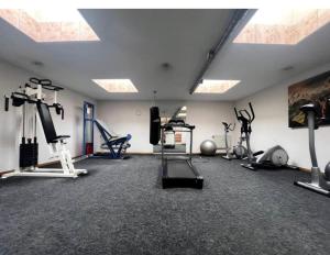 a gym with several treadmills and machines in a room at Les Crêtes in Vionnaz