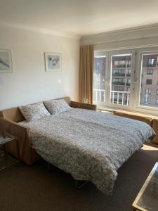 een slaapkamer met een groot bed voor een raam bij Zonnige studio Mermoz Koksijde-Bad in Koksijde +45 foto's