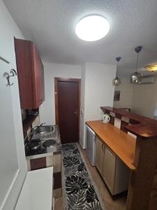 Sanski mostにあるApartman Sanusのキッチン(シンク、コンロ付)