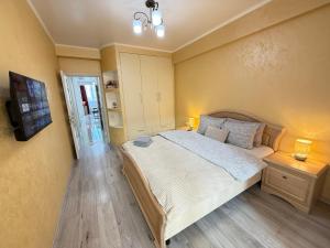 a bedroom with a large bed and a television at Cozy Two Bedroom Large Apartment in Chişinău