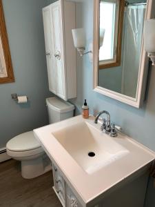 a bathroom with a sink and a toilet and a mirror at Two Bedroom in Great Location in Fairbanks