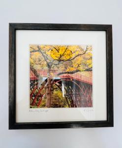 a framed picture of a tree and a bridge at Victoria Cottage, Ironbridge in Ironbridge
