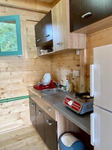 Køkken eller tekøkken på Zvoncica, Ada Bojana