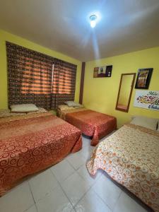 una camera d'albergo con due letti e una finestra di México Lindo a Città del Messico