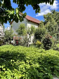 Φωτογραφία από το άλμπουμ του Villa Tomorrow σε Ujanik