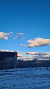 Φωτογραφία από το άλμπουμ του Villa Tomorrow σε Ujanik