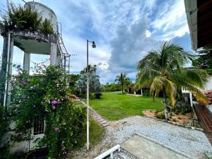 Jardín al aire libre en Amaranthus Renaissance