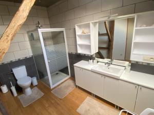 un bagno con wc, lavandino e doccia di Le Refuge de Libin a Libin